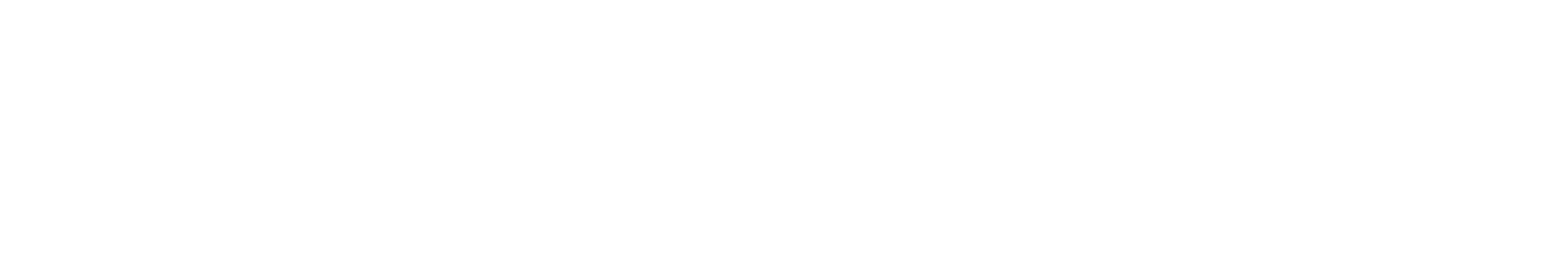 Logo Inferior